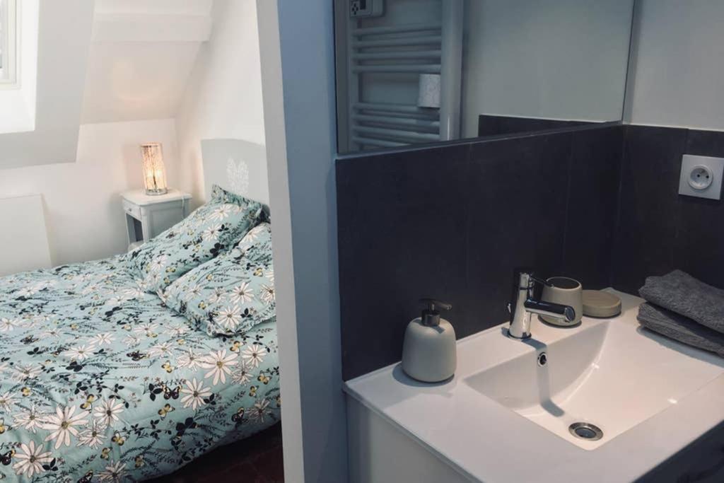 Tonnerre Grand Studio De Charme Au Coeur De La Ville Ngoại thất bức ảnh