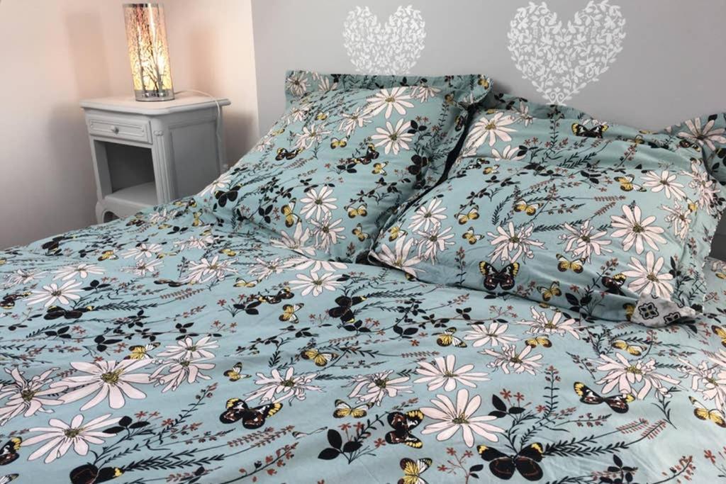 Tonnerre Grand Studio De Charme Au Coeur De La Ville Ngoại thất bức ảnh